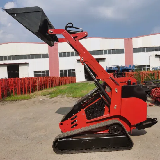 Luyue Nuova minipala compatta da 25 CV economica con motore diesel Kubota