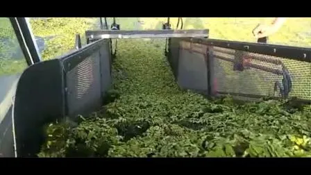 3,5 tonnellate 4 tonnellate 5 tonnellate 4X4 4WD Mini carrello elevatore diesel/elettrico completamente idraulico Carrello elevatore per terreni accidentati Carrello elevatore fuoristrada Euro 5 Prezzo EPA 50% di sconto Spedizione gratuita